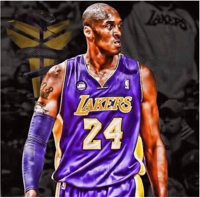 积极引入社 积极引入社