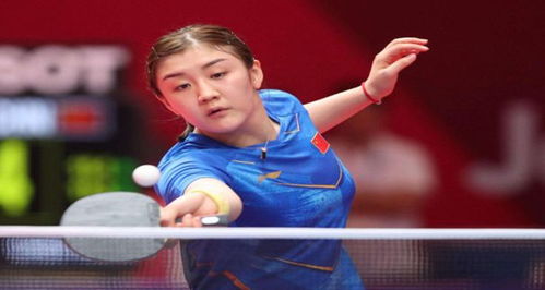 迅速补强阵 迅速补强阵